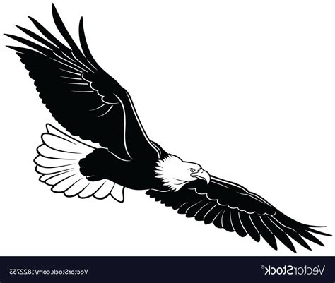 black and white eagle photo|black and white flying eagle.